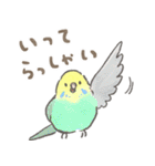 セキセイインコの家族スタンプ（個別スタンプ：26）