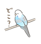 セキセイインコの家族スタンプ（個別スタンプ：27）