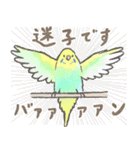 セキセイインコの家族スタンプ（個別スタンプ：28）