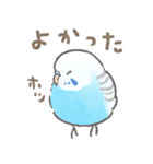 セキセイインコの家族スタンプ（個別スタンプ：30）