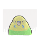 セキセイインコの家族スタンプ（個別スタンプ：33）