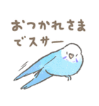 セキセイインコの家族スタンプ（個別スタンプ：34）