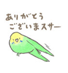 セキセイインコの家族スタンプ（個別スタンプ：35）