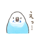 セキセイインコの家族スタンプ（個別スタンプ：37）