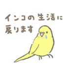 セキセイインコの家族スタンプ（個別スタンプ：40）