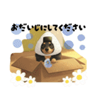 おにぎりダックス（個別スタンプ：11）
