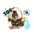 おにぎりダックス（個別スタンプ：22）