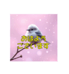 白い小鳥の挨拶スタンプ（個別スタンプ：1）