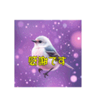 白い小鳥の挨拶スタンプ（個別スタンプ：9）