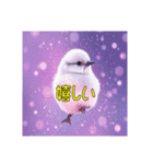 白い小鳥の挨拶スタンプ（個別スタンプ：35）