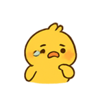 まるまるひよこ かわいい毎日（個別スタンプ：5）