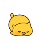 まるまるひよこ かわいい毎日（個別スタンプ：8）