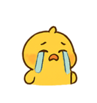 まるまるひよこ かわいい毎日（個別スタンプ：10）