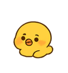 まるまるひよこ かわいい毎日（個別スタンプ：12）