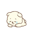 ふわふわクマの気持ち（個別スタンプ：19）