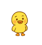 にこにこアヒルちゃん（個別スタンプ：24）