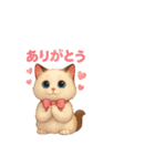 5 ラグドール（個別スタンプ：4）
