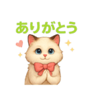 5 ラグドール（個別スタンプ：13）