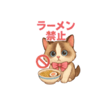 5 ラグドール（個別スタンプ：17）