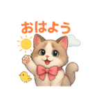 5 ラグドール（個別スタンプ：24）