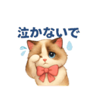 5 ラグドール（個別スタンプ：35）