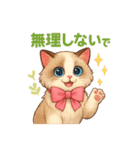 5 ラグドール（個別スタンプ：39）