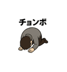 麻雀イラスト（個別スタンプ：7）