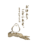親切なシマエナガ 2 (big/JP-KR)（個別スタンプ：1）