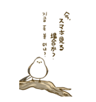 親切なシマエナガ 2 (big/JP-KR)（個別スタンプ：3）