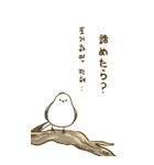 親切なシマエナガ 2 (big/JP-KR)（個別スタンプ：12）