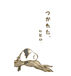 親切なシマエナガ 2 (big/JP-KR)（個別スタンプ：29）