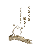 親切なシマエナガ 2 (big/JP-KR)（個別スタンプ：30）