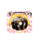 岩国ウインド    よいとここよ。（個別スタンプ：5）
