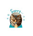 猫な日常だにゃ（個別スタンプ：6）