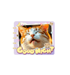 猫な日常だにゃ（個別スタンプ：9）