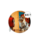 猫な日常だにゃ（個別スタンプ：13）