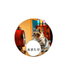 猫な日常だにゃ（個別スタンプ：14）