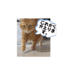 動く、フレイヤとジョジョ（個別スタンプ：3）