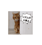動く、フレイヤとジョジョ（個別スタンプ：8）