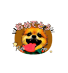 轟け！私のスタンプ！（個別スタンプ：4）