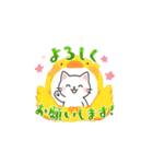 Funny Cat Moments（個別スタンプ：4）