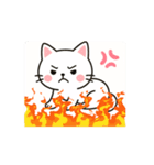 Funny Cat Moments（個別スタンプ：5）