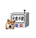 【柴犬コタロー②】動く！気ままな日常生活（個別スタンプ：15）