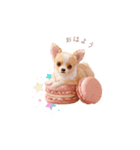 チワワ×スイーツ♡（個別スタンプ：1）
