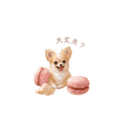 チワワ×スイーツ♡（個別スタンプ：18）