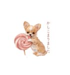 チワワ×スイーツ♡（個別スタンプ：35）