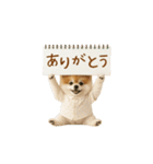 ▶動く！ポメラニアンの日常スタンプ（個別スタンプ：8）