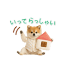 ▶動く！ポメラニアンの日常スタンプ（個別スタンプ：18）