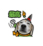 動くビーグル犬(ハロウィン)（個別スタンプ：4）