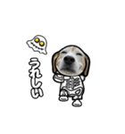 動くビーグル犬(ハロウィン)（個別スタンプ：8）